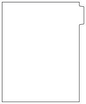 DocuCopy 1071 Index Tabs 90 Lb. Paper 1/5 Cut Uncollated Position 1 or 5 No Holes